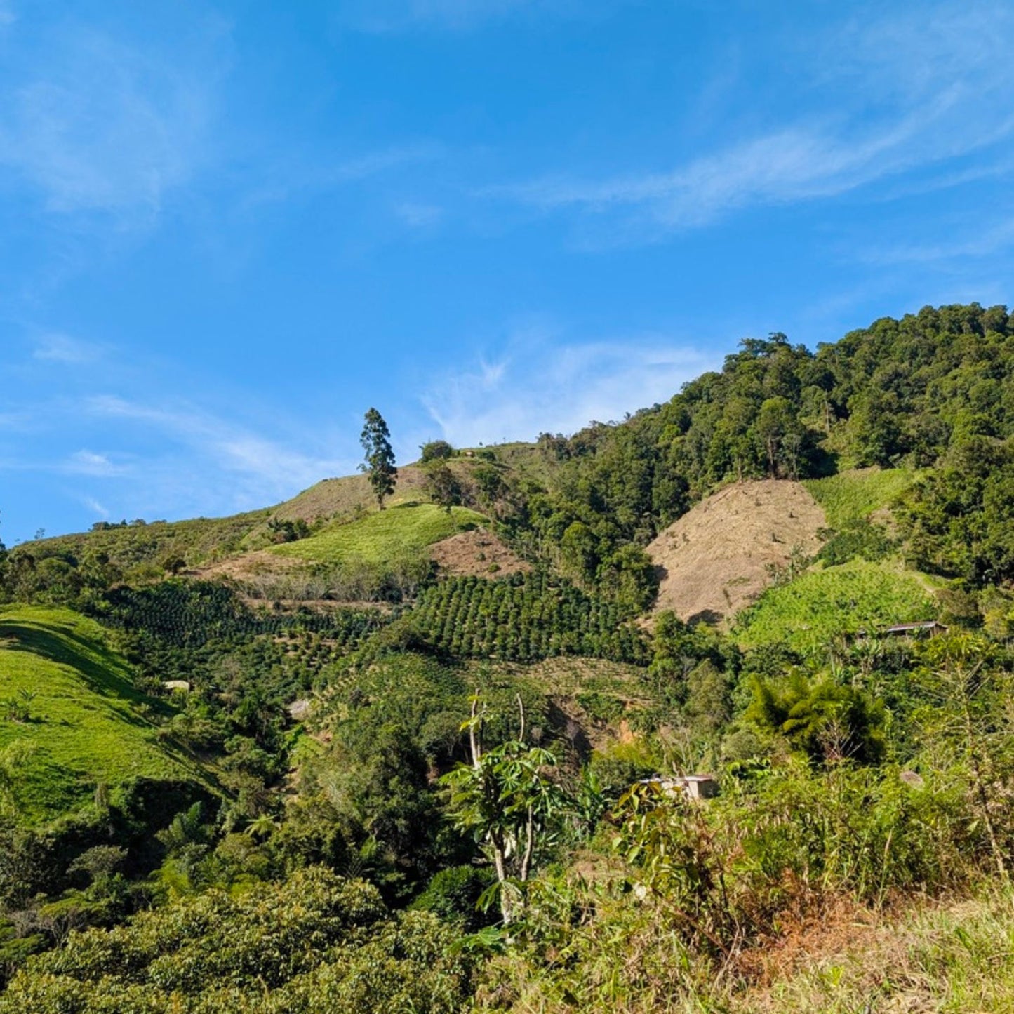 Finca La Estación