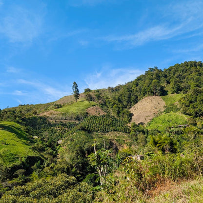 Finca La Estación