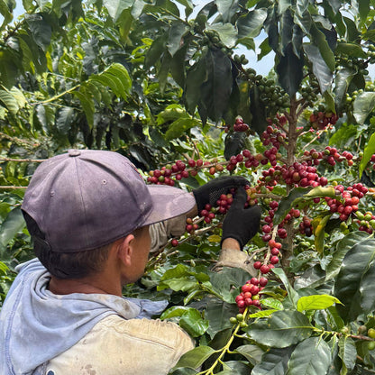 La Rochela