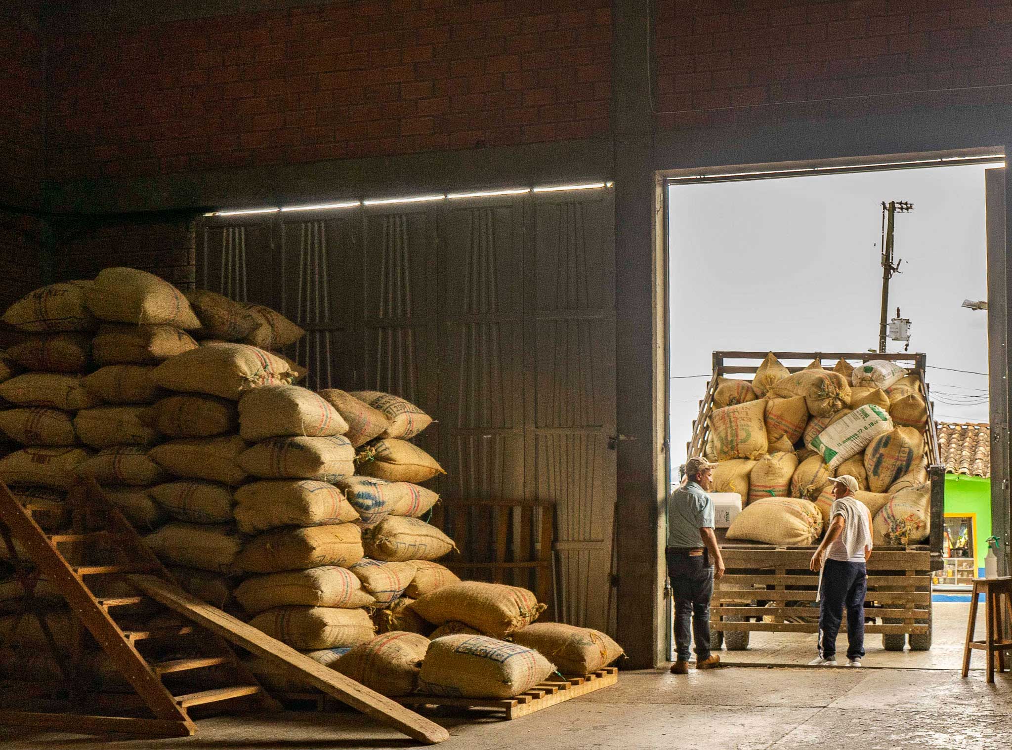 Wholesale-speciality-coffee-suppliers